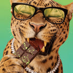 Felora Wild Zaatar chocolate bar — campaign portrait