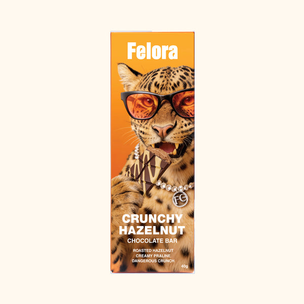 Hazelnut Chocolate bar